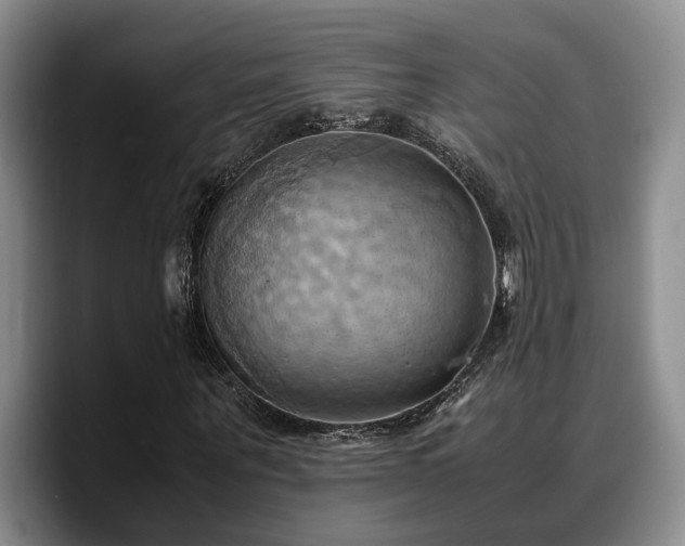X0000090490867200707201535