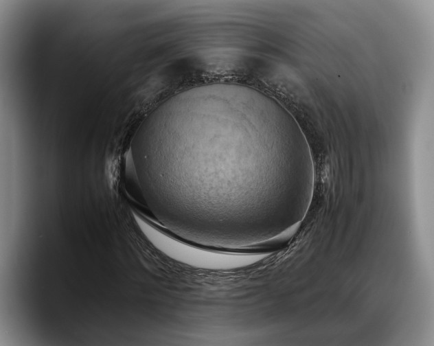 X0000090490868200707201535