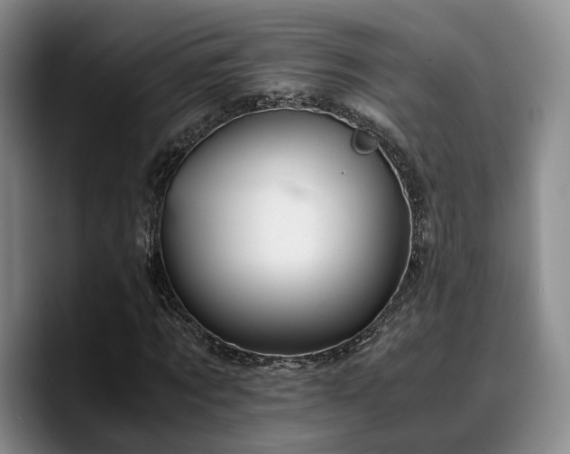 X0000090490869200707201535