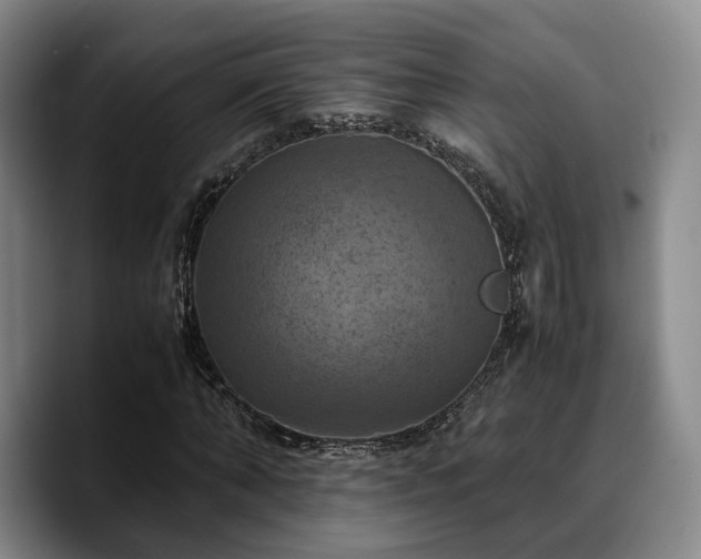X0000090490870200707201535