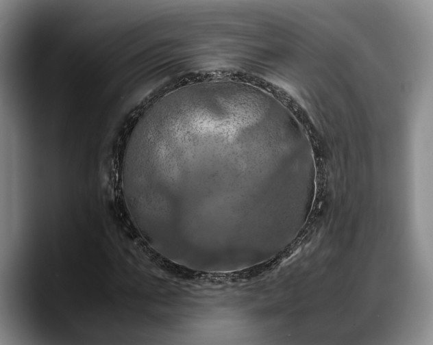 X0000090490871200707201535