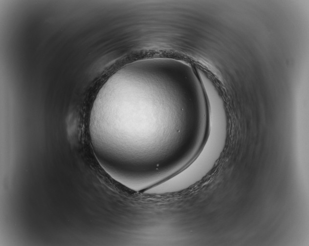 X0000090490872200707201535