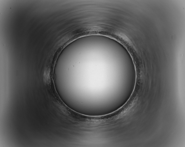 X0000090490873200707201535