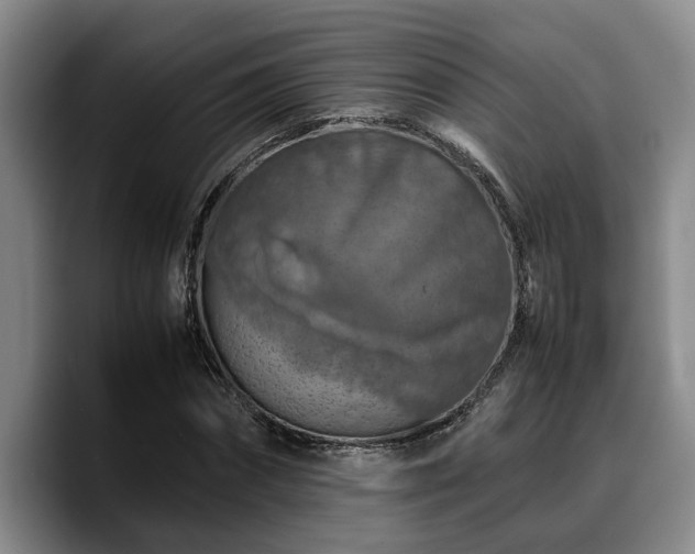 X0000090490874200707201535