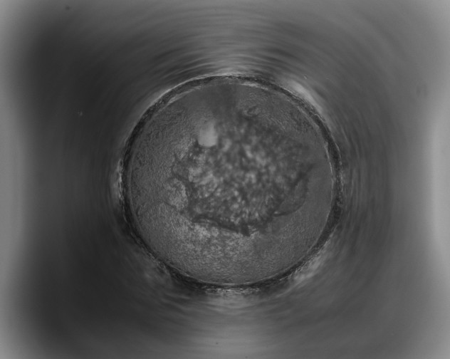 X0000090490875200707201535