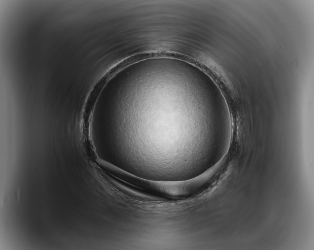 X0000090490876200707201535
