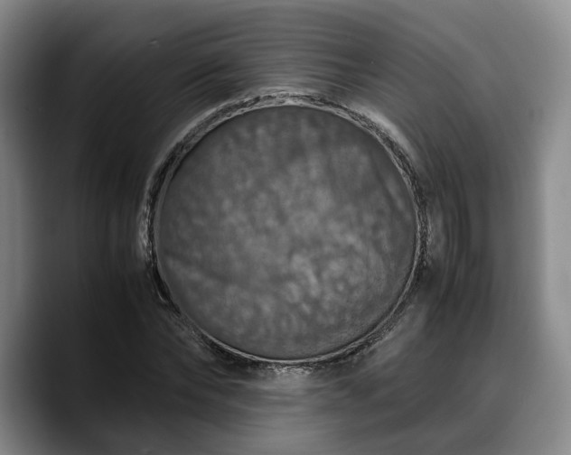 X0000090490878200707201535
