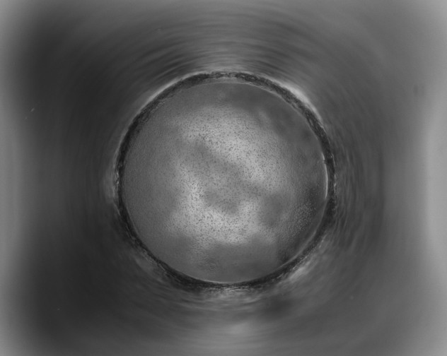 X0000090490879200707201535