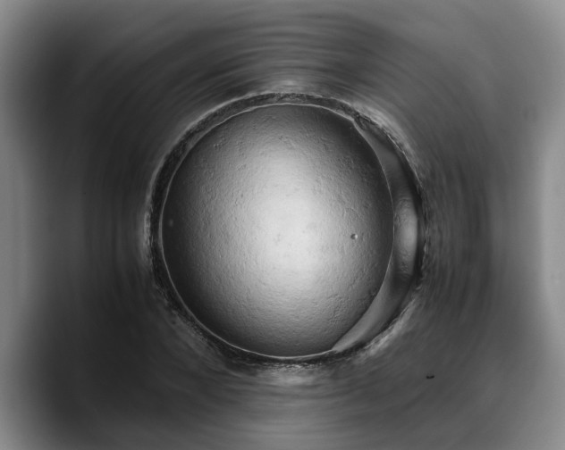 X0000090490880200707201535