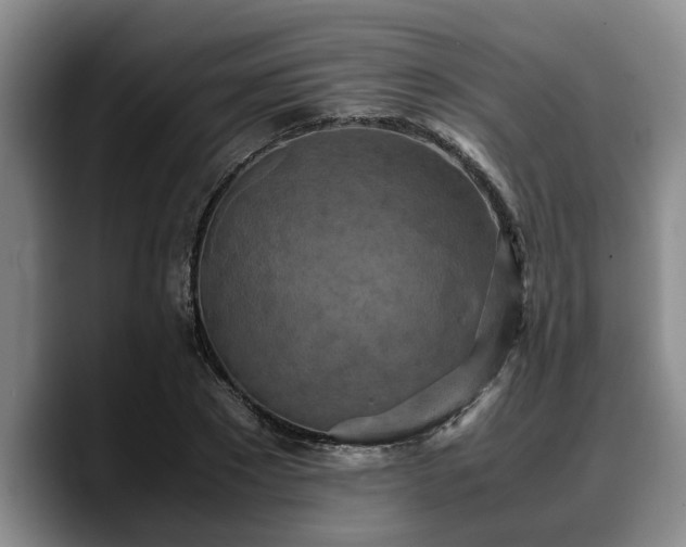 X0000090490881200707201535