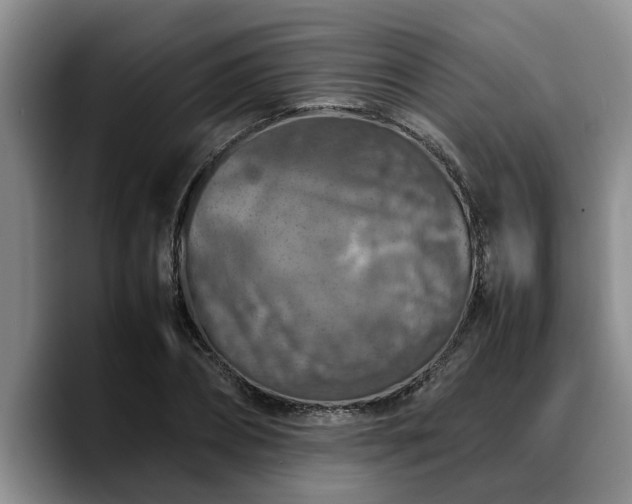 X0000090490882200707201535