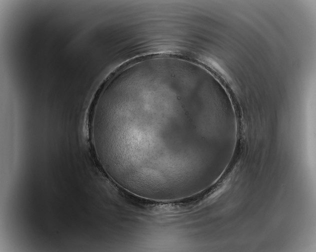 X0000090490883200707201535