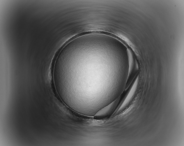 X0000090490885200707201535