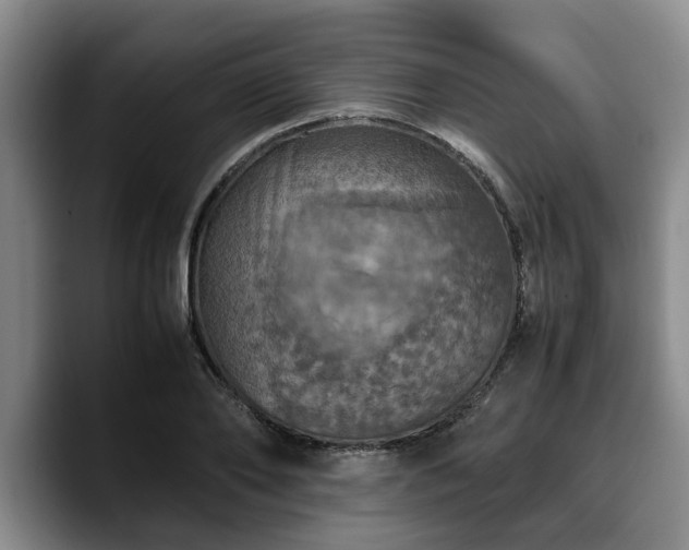 X0000090490886200707201535