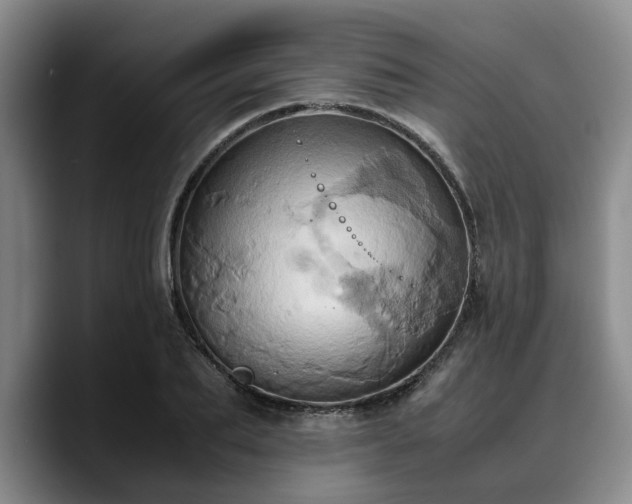 X0000090490887200707201535