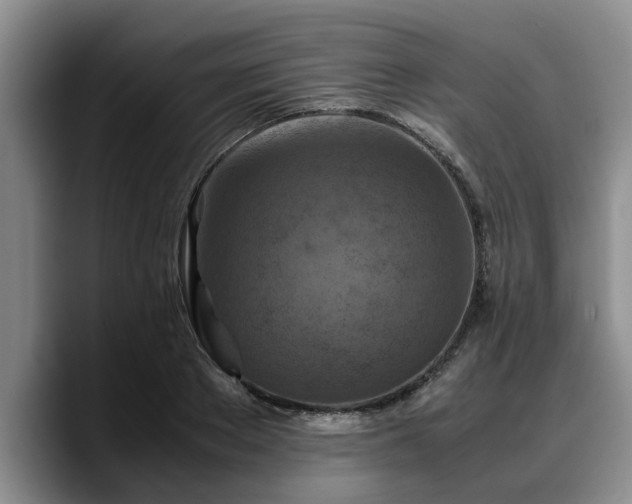 X0000090490889200707201535