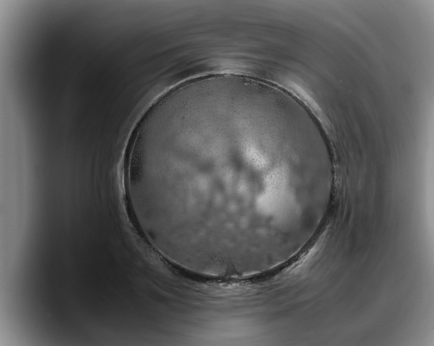 X0000090490891200707201535