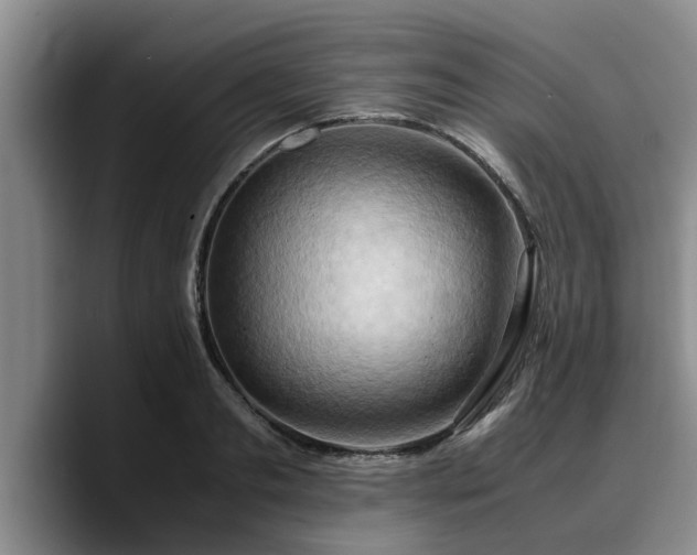 X0000090490893200707201535