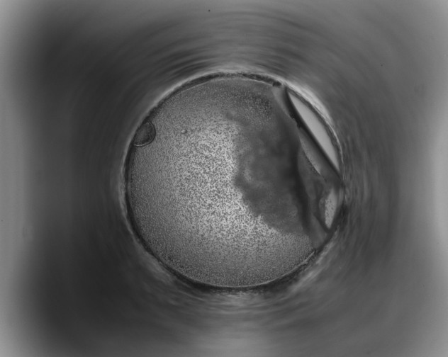 X0000090490895200707201535