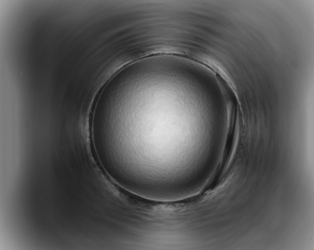 X0000090490898200707201535
