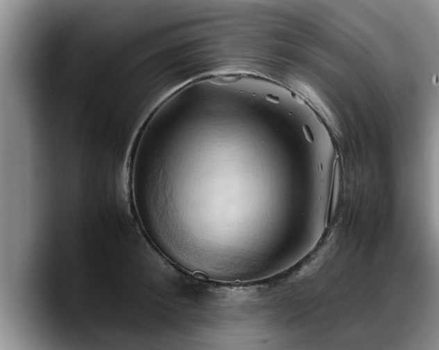 X0000090490900200707201535