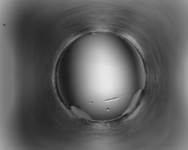 X0000090490901200707201535