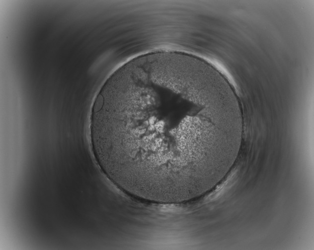 X0000090490903200707201535
