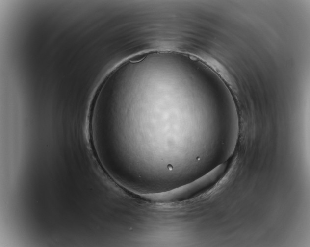 X0000090490904200707201535