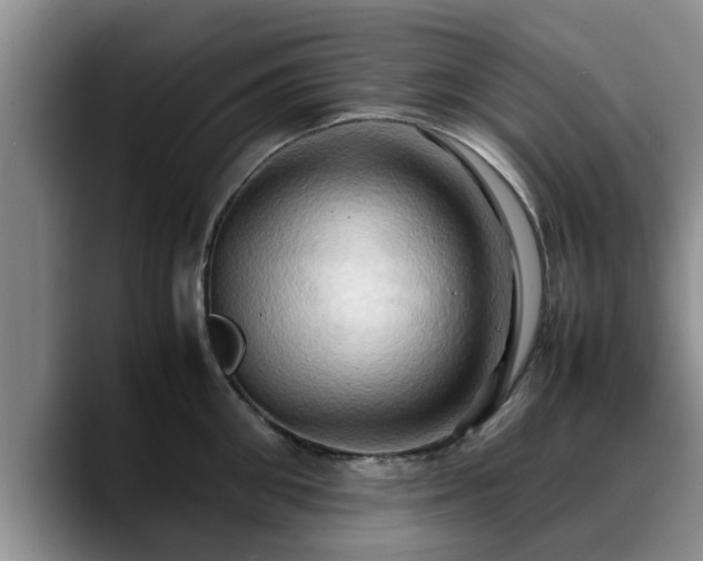 X0000090490906200707201535