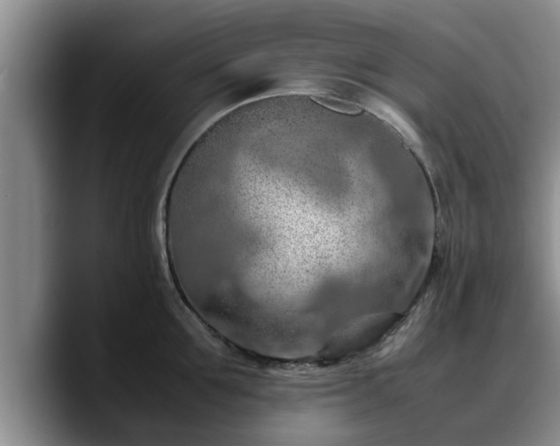 X0000090490907200707201535