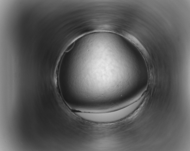X0000090490908200707201535