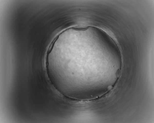 X0000090490912200707201535