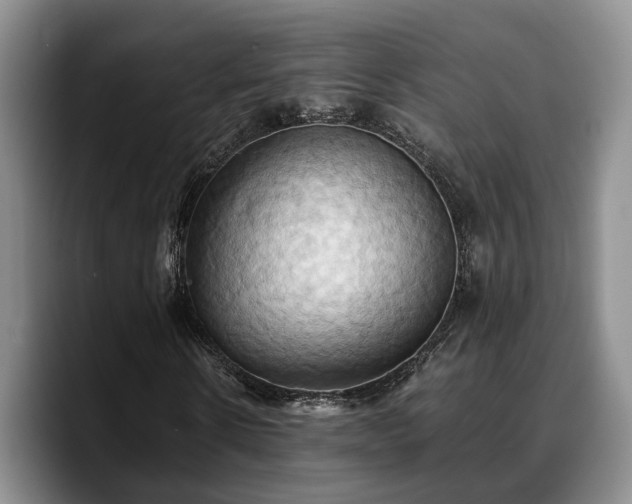 X0000090490914200707201534