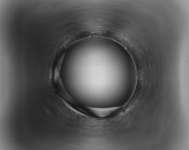X0000090490916200707201534