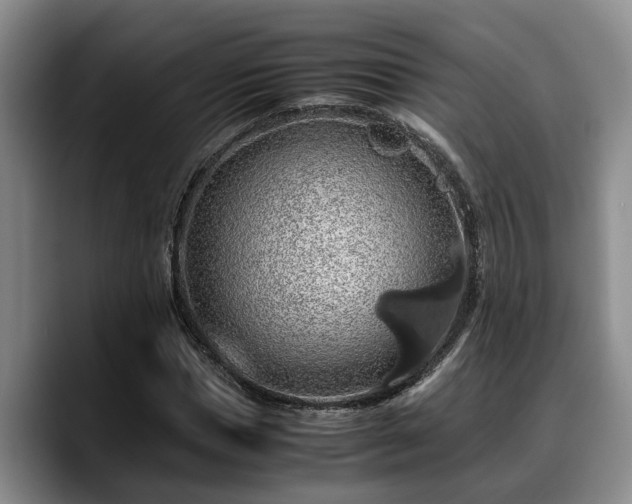 X0000090490921200707201534