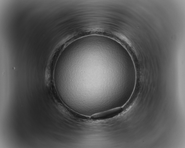 X0000090490922200707201534