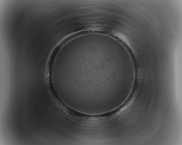 X0000090490923200707201534