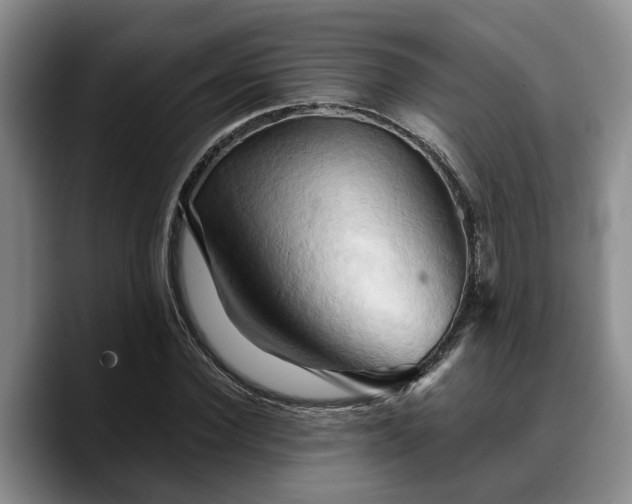 X0000090490924200707201534