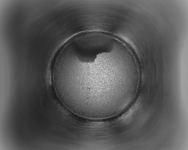 X0000090490925200707201534