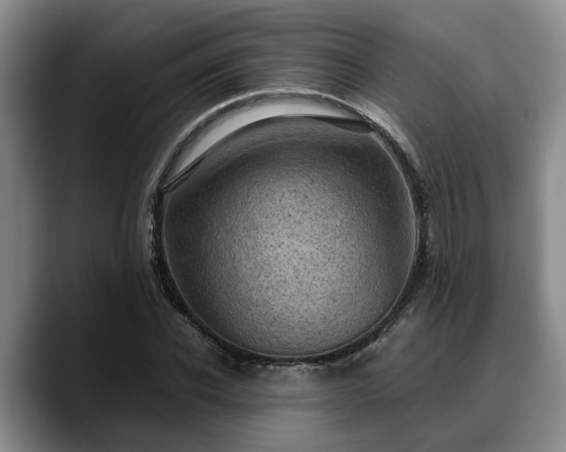 X0000090490926200707201534
