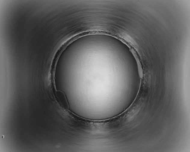 X0000090490928200707201534