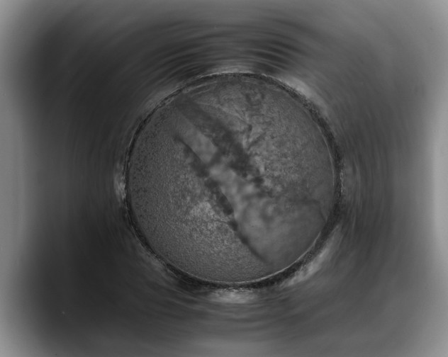 X0000090490929200707201534