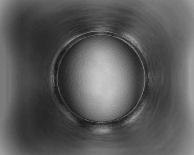 X0000090490931200707201534