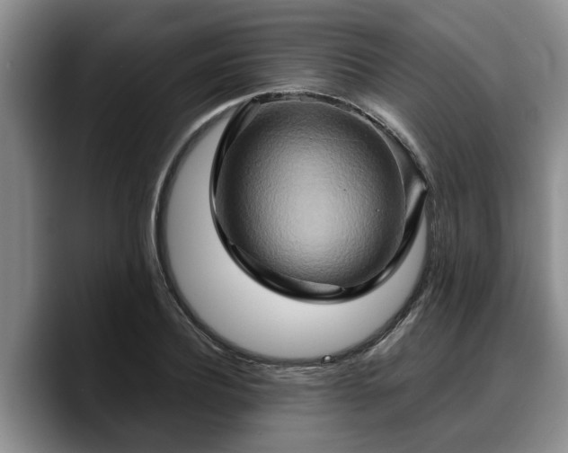 X0000090490932200707201535