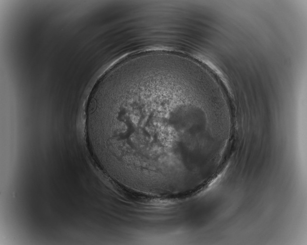 X0000090490933200707201535