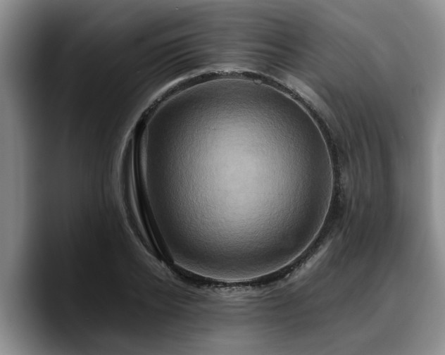 X0000090490934200707201535