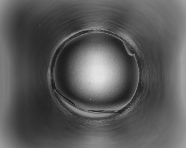 X0000090490936200707201535