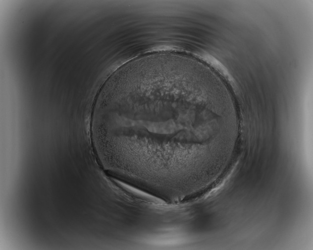 X0000090490937200707201535
