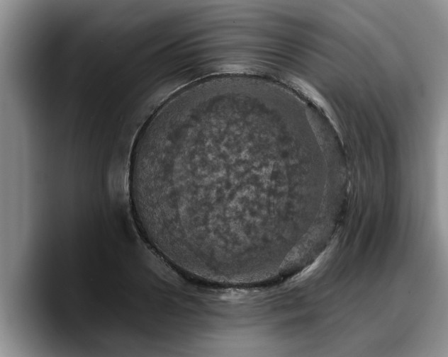 X0000090490938200707201535