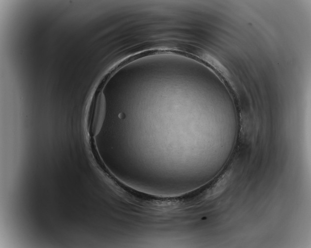 X0000090490939200707201535
